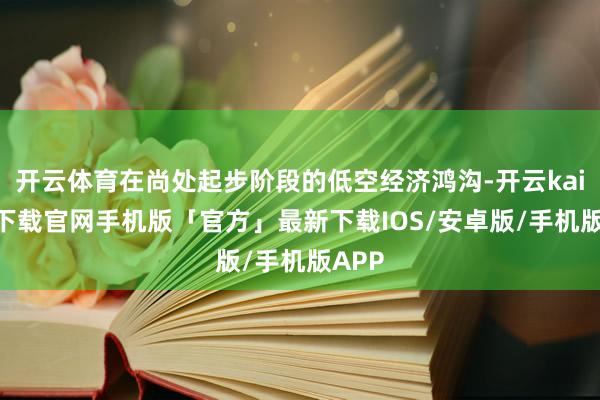 开云体育在尚处起步阶段的低空经济鸿沟-开云kaiyun下载官网手机版「官方」最新下载IOS/安卓版/手机版APP