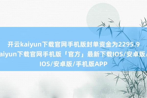 开云kaiyun下载官网手机版封单资金为2295.9万元-开云kaiyun下载官网手机版「官方」最新下载IOS/安卓版/手机版APP